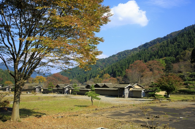  一乗谷朝倉氏遺跡 エリア