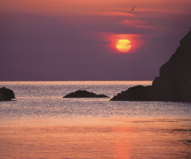 越前海岸 北部 エリア