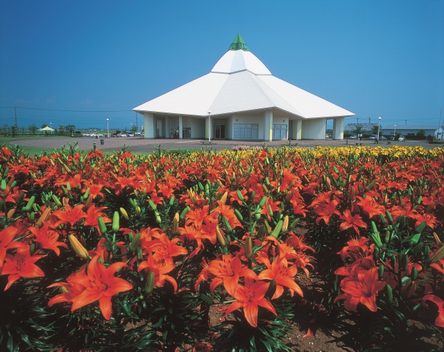 花の駅 ゆりの里公園 エリア