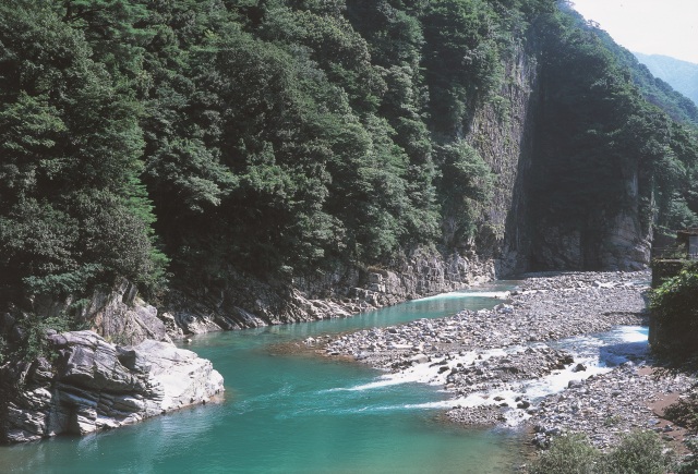  JR九頭竜湖駅 エリア