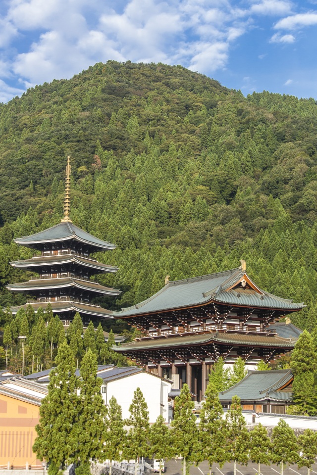  越前大仏 エリア