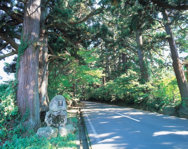  平泉寺白山神社 エリア