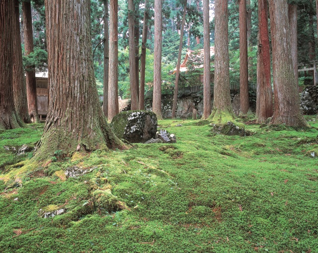  平泉寺白山神社 エリア