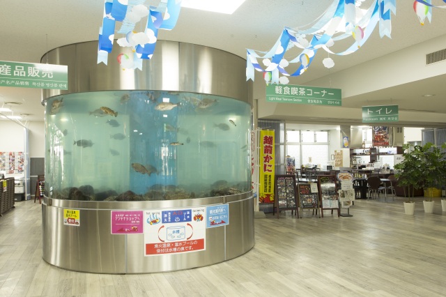  道の駅「越前」 エリア