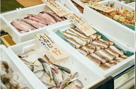  ふくい鮮いちば エリア