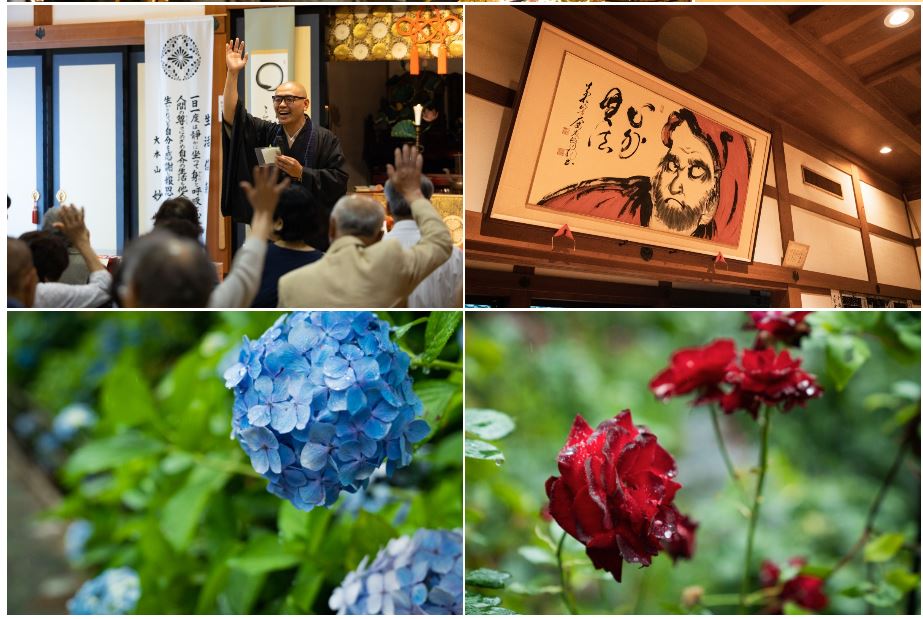  大安禅寺 エリア