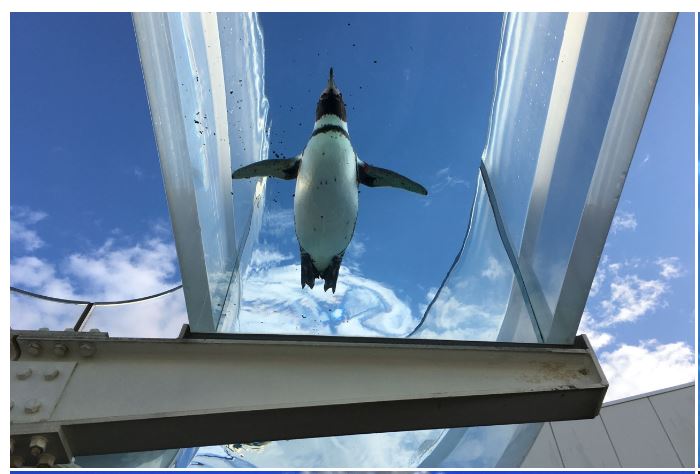  越前松島水族館 エリア