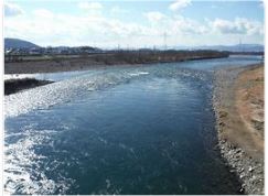 九頭竜川 エリア（鮎・釣り）